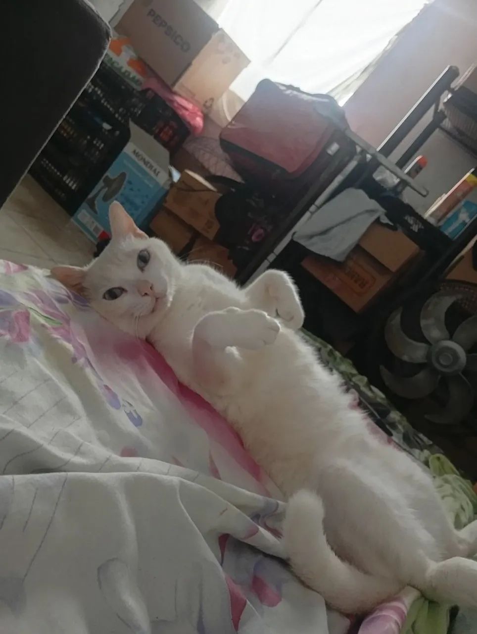 Doação 