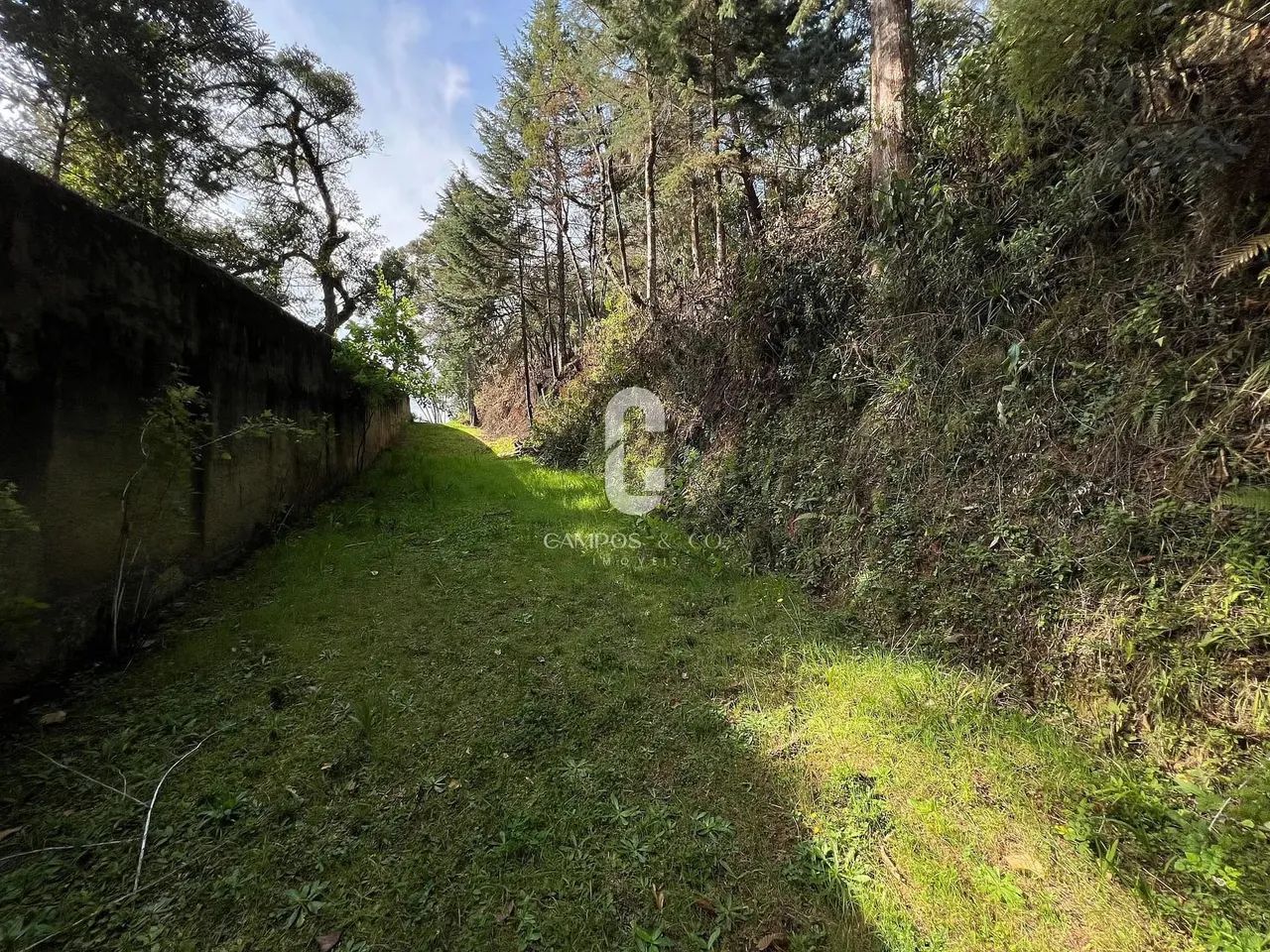 Área para incorporação à venda, 16.805 m², R$ 8.000.000,00, ao lado do Cantrinho do Capiva - Foto 4