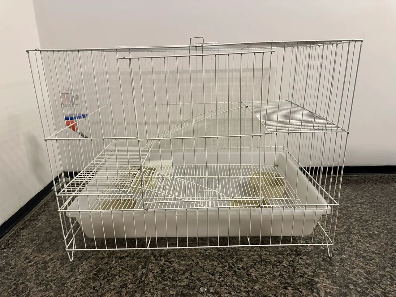 gaiola para roedor