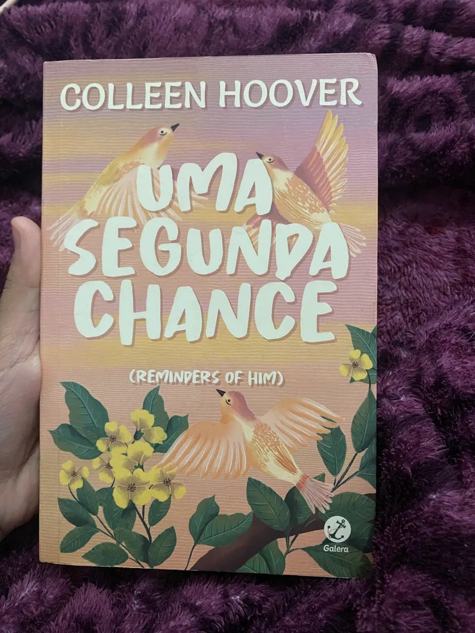 Livro: Uma segunda chance (da Colleen Hoover)