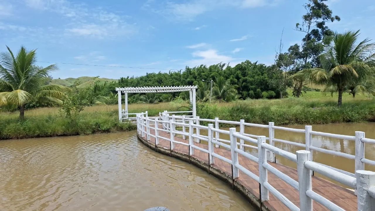 Fazenda a venda no Interior do RJ! - Foto 5