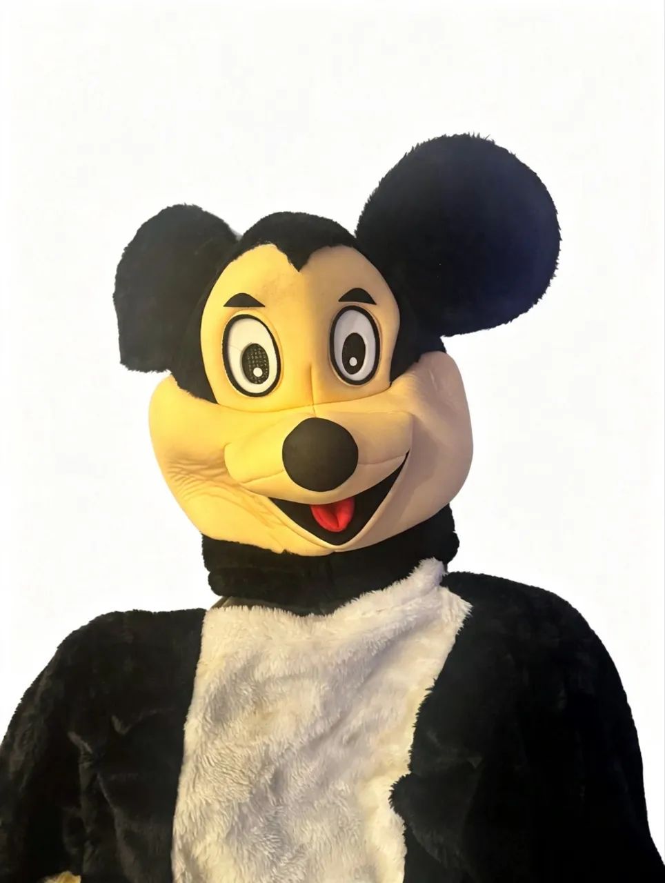 Fantasia do mickey  - Foto 5