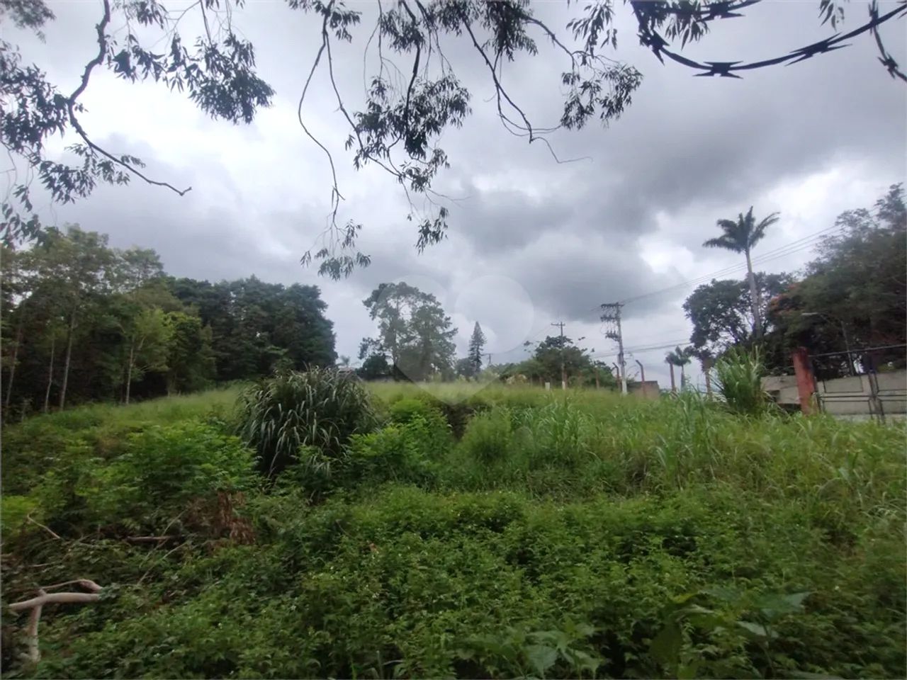 Galpão para locação em Colônia (zona leste) - SP - Foto 2