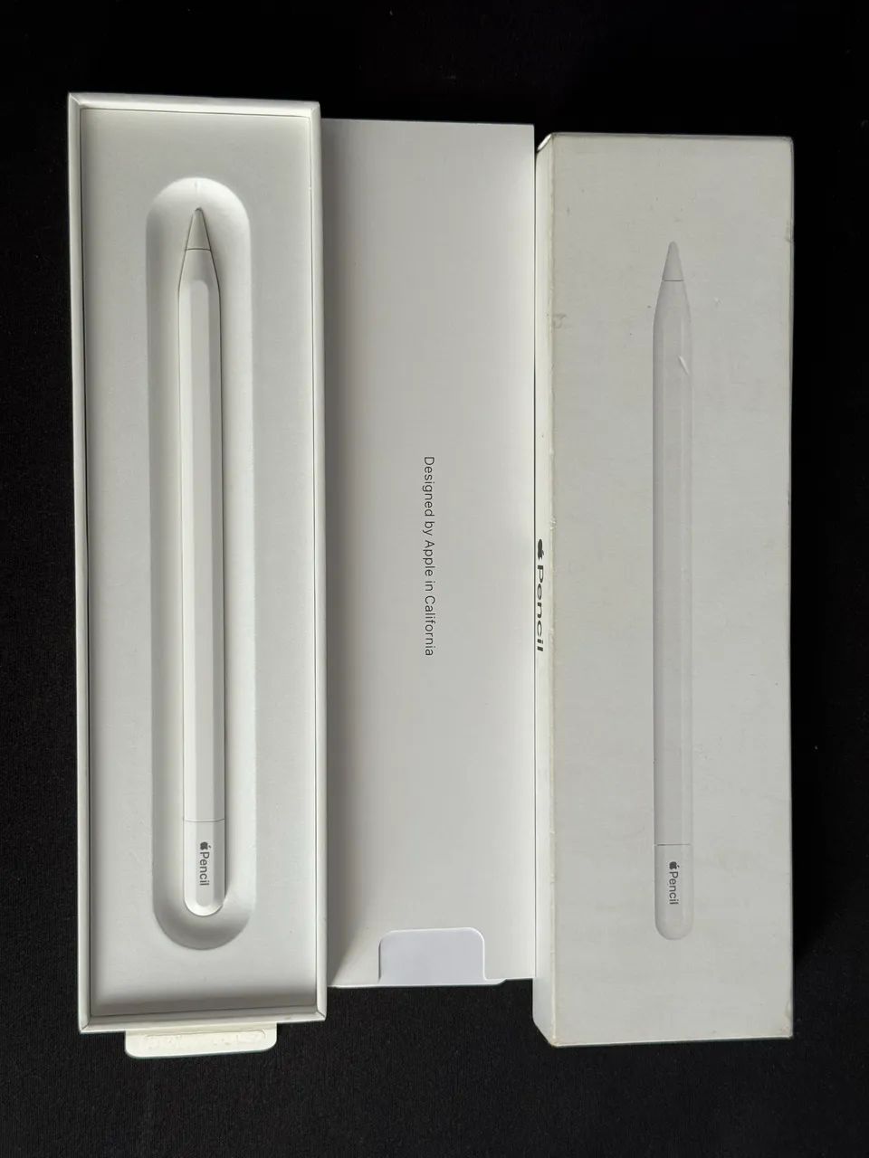Apple Pencil 2º geração (USB-C)