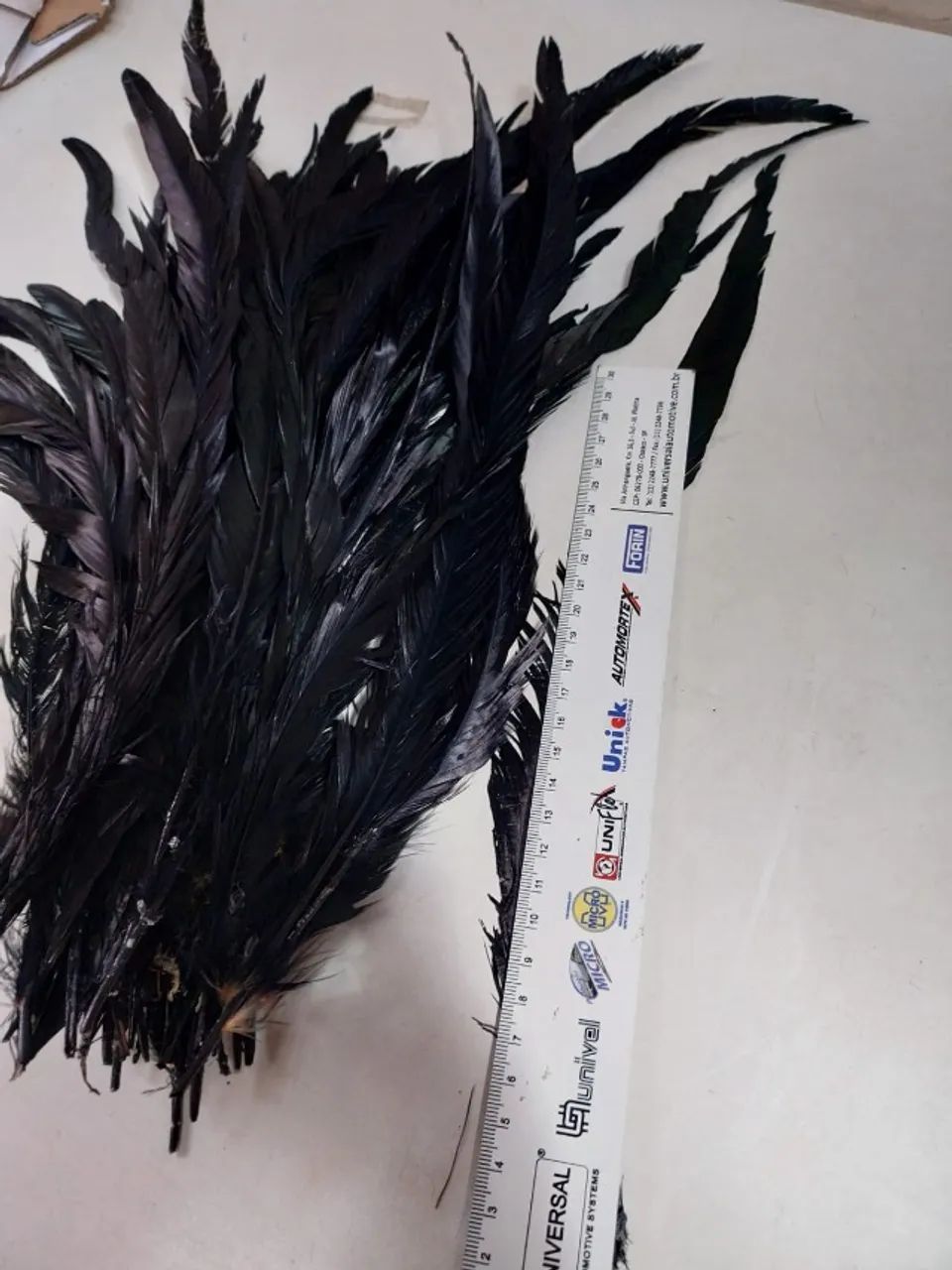 Rabos de Galo pretos 35 cm