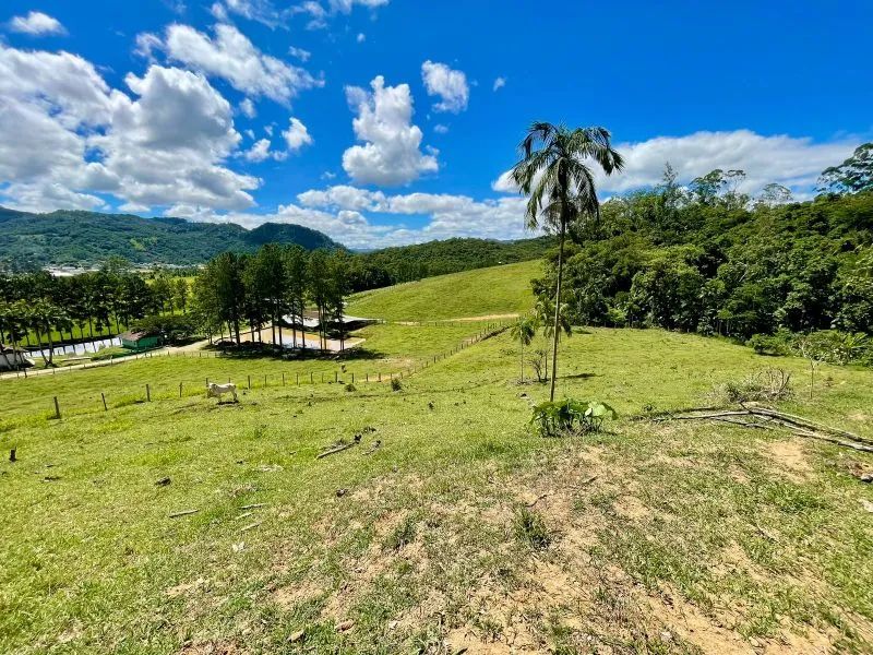 Terreno RODEIO - SC - Foto 4