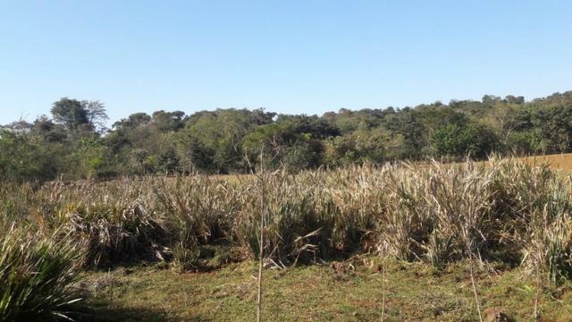 Lote 12000m2 Fundos com Rio 3 Bocas em londrina - Foto 3