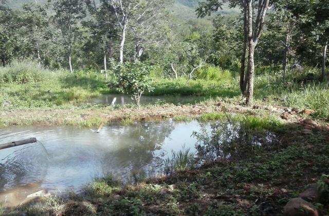 Lindíssima Fazenda, á 40 km de Formosa GO. - Foto 13