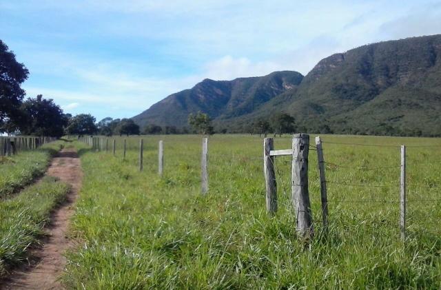 Lindíssima Fazenda, á 40 km de Formosa GO. - Foto 3