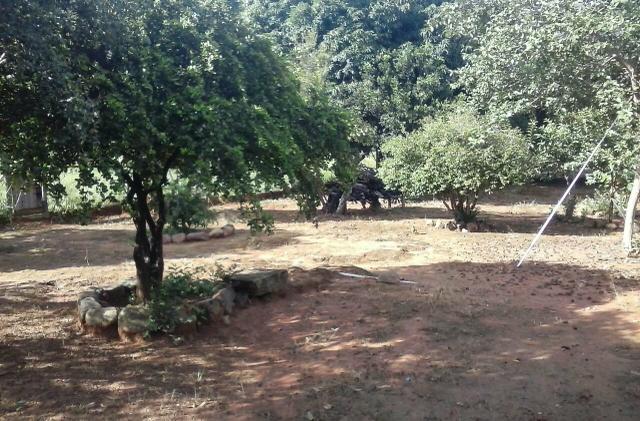 Lindíssima Fazenda, á 40 km de Formosa GO. - Foto 10