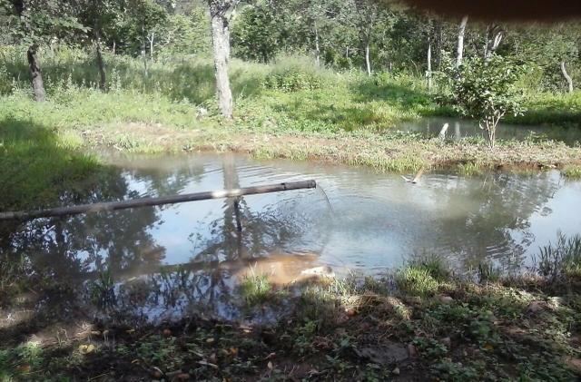 Lindíssima Fazenda, á 40 km de Formosa GO. - Foto 7