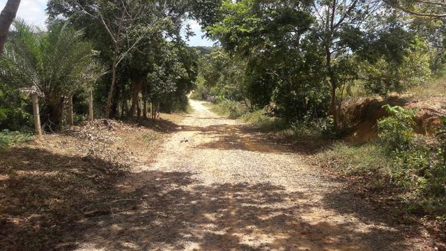Três terrenos 500m2 cada. Ambiente Ecológico Barra de Pojuca Camaçari - Foto 3