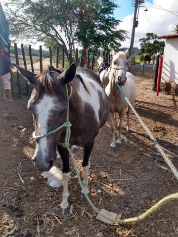 Vendo - Foto 2