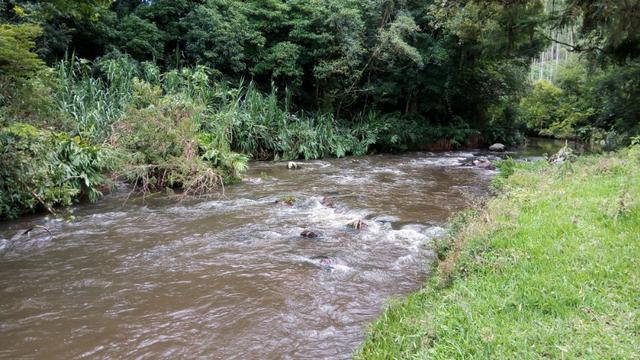 Sítio com área 183.477m², nascente, muita natureza, privacidade. Confira - Foto 20