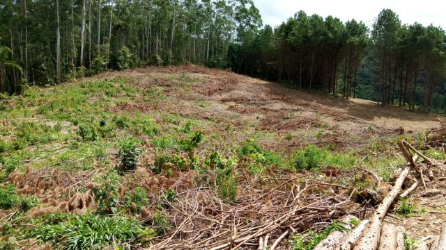 Sítio com área 183.477m², nascente, muita natureza, privacidade. Confira - Foto 15