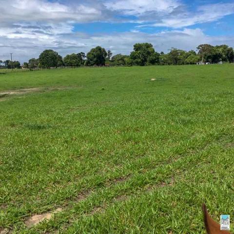 Excelente Fazenda em Amélia Rodrigues - Bahia - Foto 5