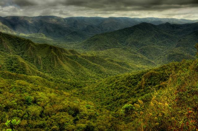 Àreas para compensação de Reserva Legal no Paraná