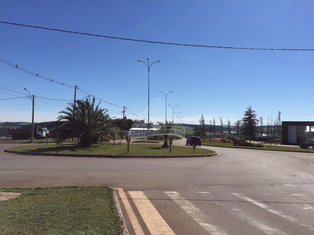 Terreno à venda em Cidade nova, Passo fundo cod:12307 - Foto 4