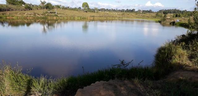 Fazenda em Roraima na BR210 - Caroebe