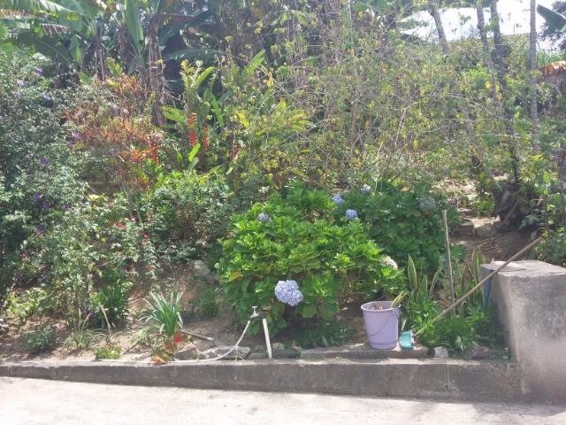Chácara excelente localização , acesso para o asfalto! - Foto 20