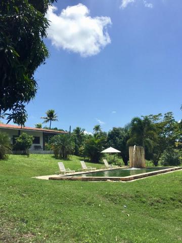 Vendo sitio, 25.000m2, em Igarassu, Cueiras, troca por apartamento ou carro - Foto 7