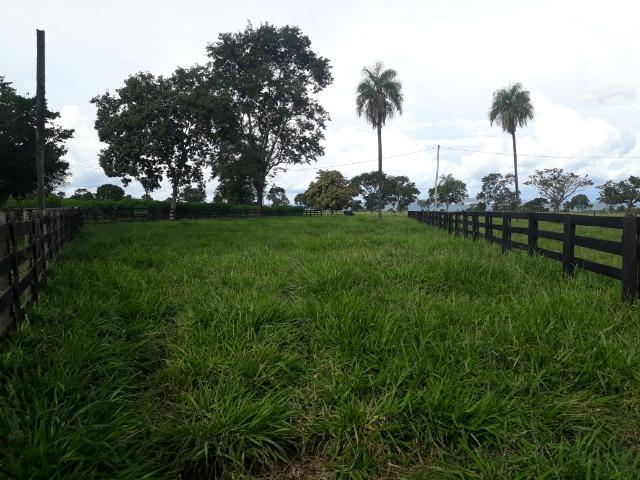 Área para confinamento ou laticínio na comunidade olho dagua na BR 364 a 30 km de Cuiabá - Foto 11