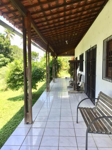Vendo sitio, 25.000m2, em Igarassu, Cueiras, troca por apartamento ou carro - Foto 3