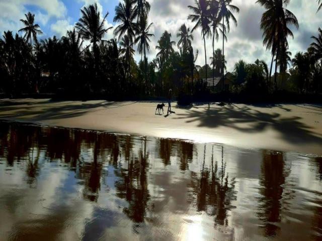 CASA COM 5 DORMITÓRIOS PARA ALUGAR TEMPORADA POR R$ 650/DIA, ILHÉUS, BAHIA - Foto 10