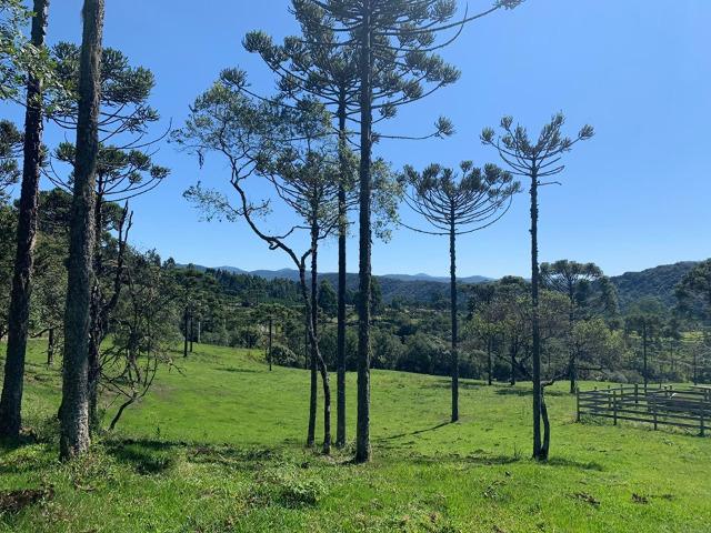 Urubici/ chácara em Urubici/ terrenos em Urubici - Foto 8