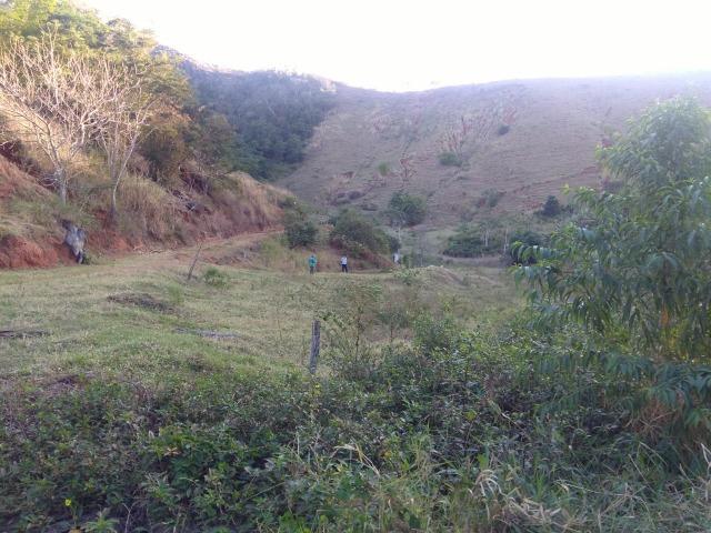 Venda-se está propriedade de 12 alqueires no Município de Muqui/ES - Foto 12