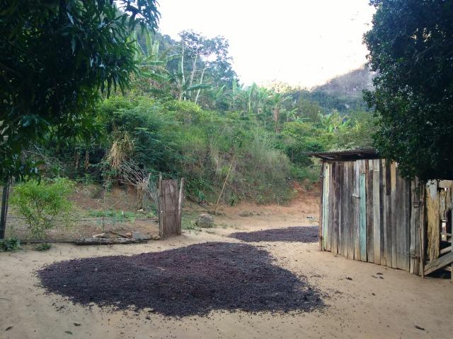 Venda-se está propriedade de 12 alqueires no Município de Muqui/ES - Foto 19