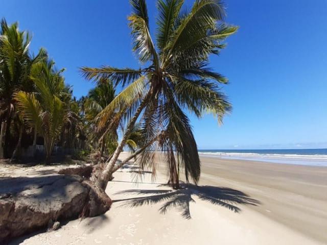 CASA COM 5 DORMITÓRIOS PARA ALUGAR TEMPORADA POR R$ 650/DIA, ILHÉUS, BAHIA - Foto 12