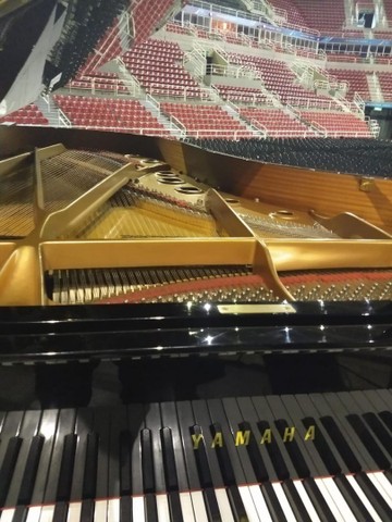 Piano 3/4 cauda  - Foto 5