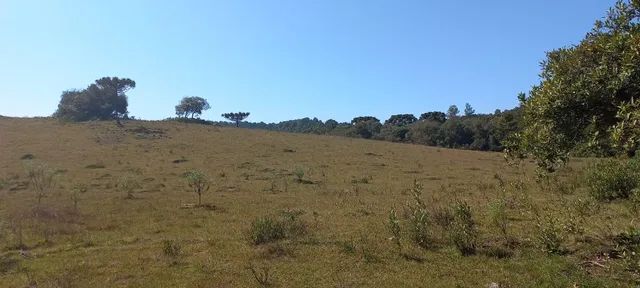 Chácara 2,0 Ha Dalagno - Foto 2