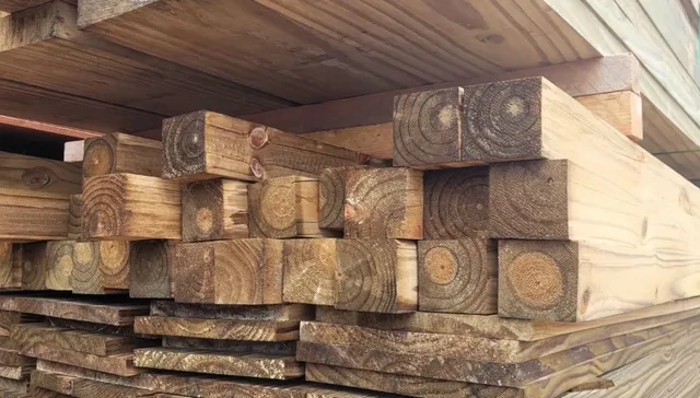 Pinus Tratado em Autoclave