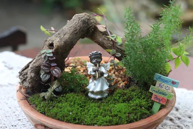 Terrários e Mini Jardins - Foto 4