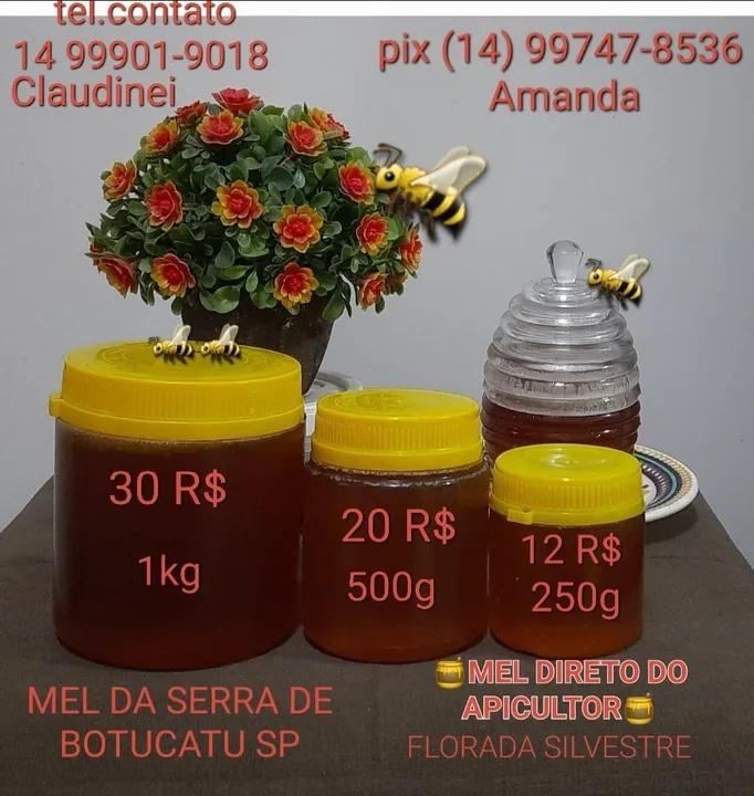 Mel da Serra de Botucatu - Direto do Apiário!