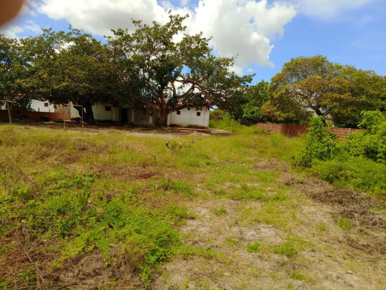 EXCELENTE SÍTIO COMPLETO COM POÇO E MURADO PERTO DO MAL COZINHADO 46KM FORTALEZA  - Foto 2