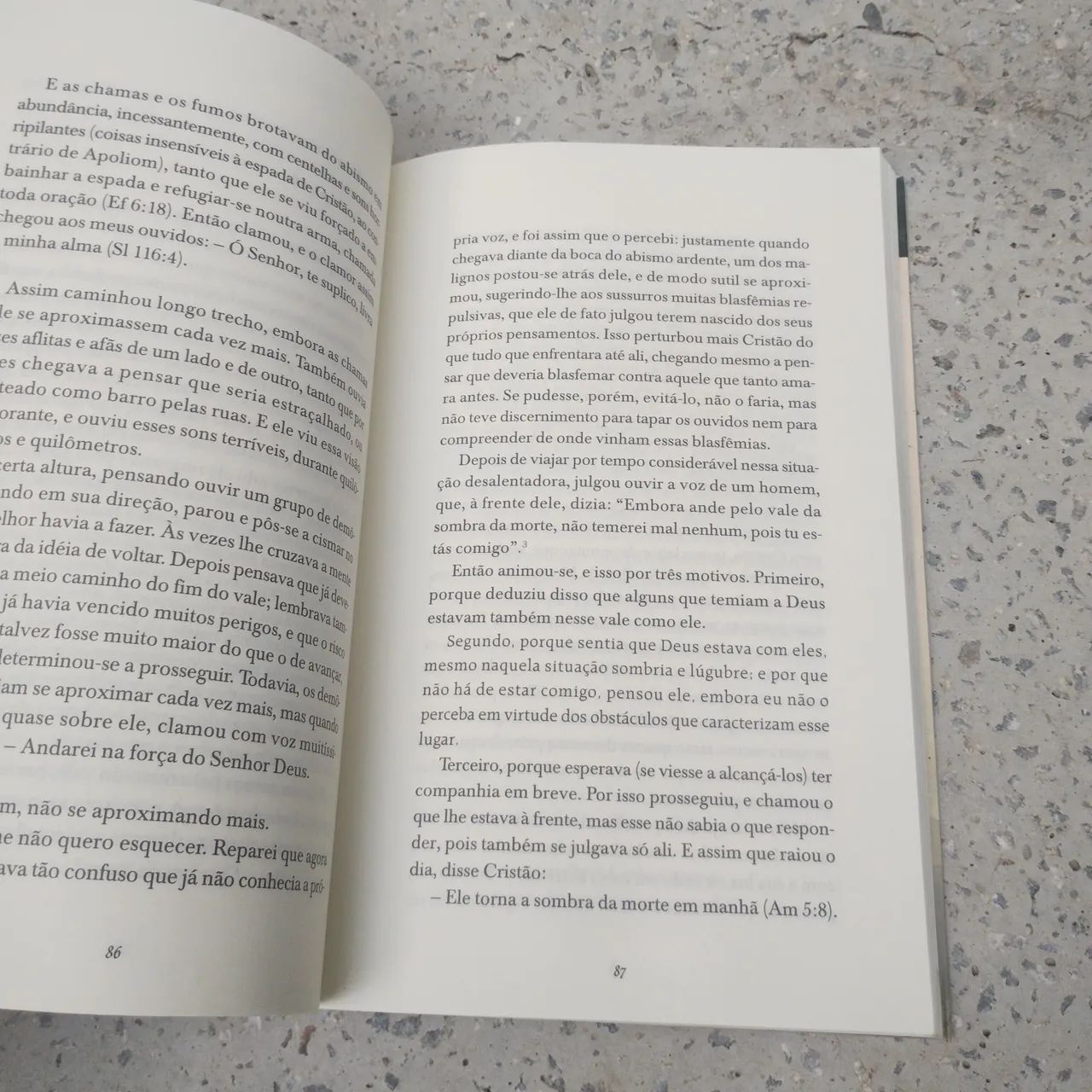 O Peregrino - John Bunyan - Foto 5