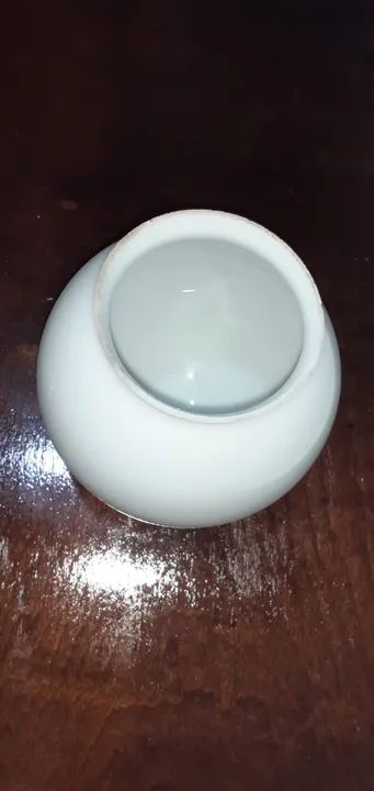 01 Cúpula globo branca - Foto 3