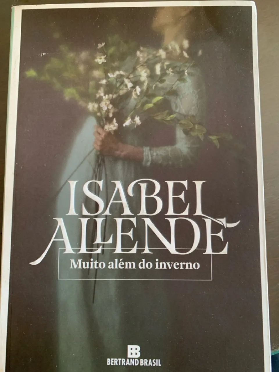 Muito Além do Inverno - Isabel Allende