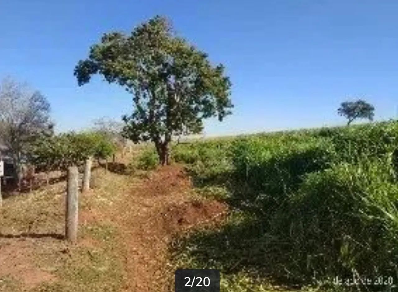 Sítio de 5 alqueires - A oportunidade que você esperava chegou!! - Foto 3