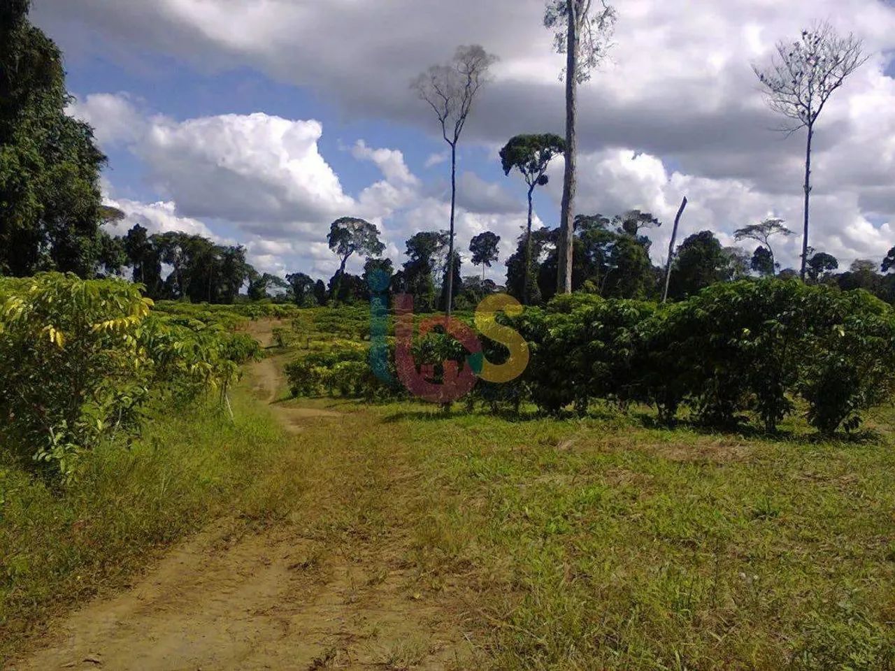 Fazenda Jueirana ll - Foto 3