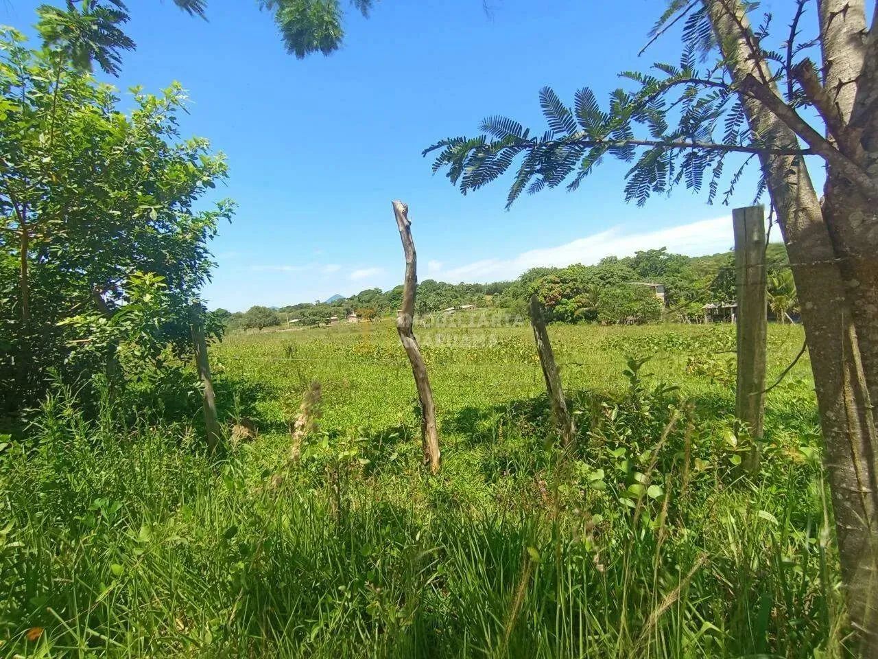 Terreno na estrada de rio bonito!! - Foto 3