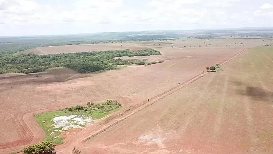Fazenda a 90 km de Palmas - 280 alqueires