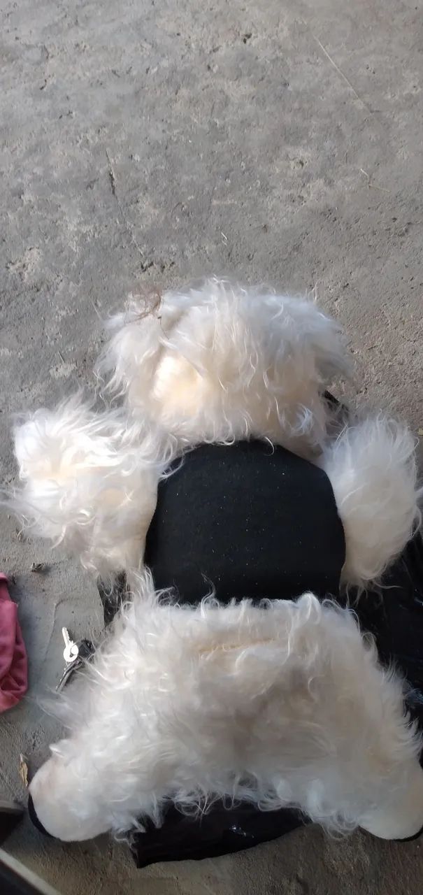 Mascote Corinthians Lindo - Foto 3