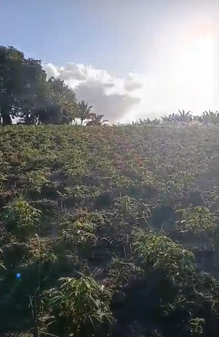 Terreno em Riachuelo 