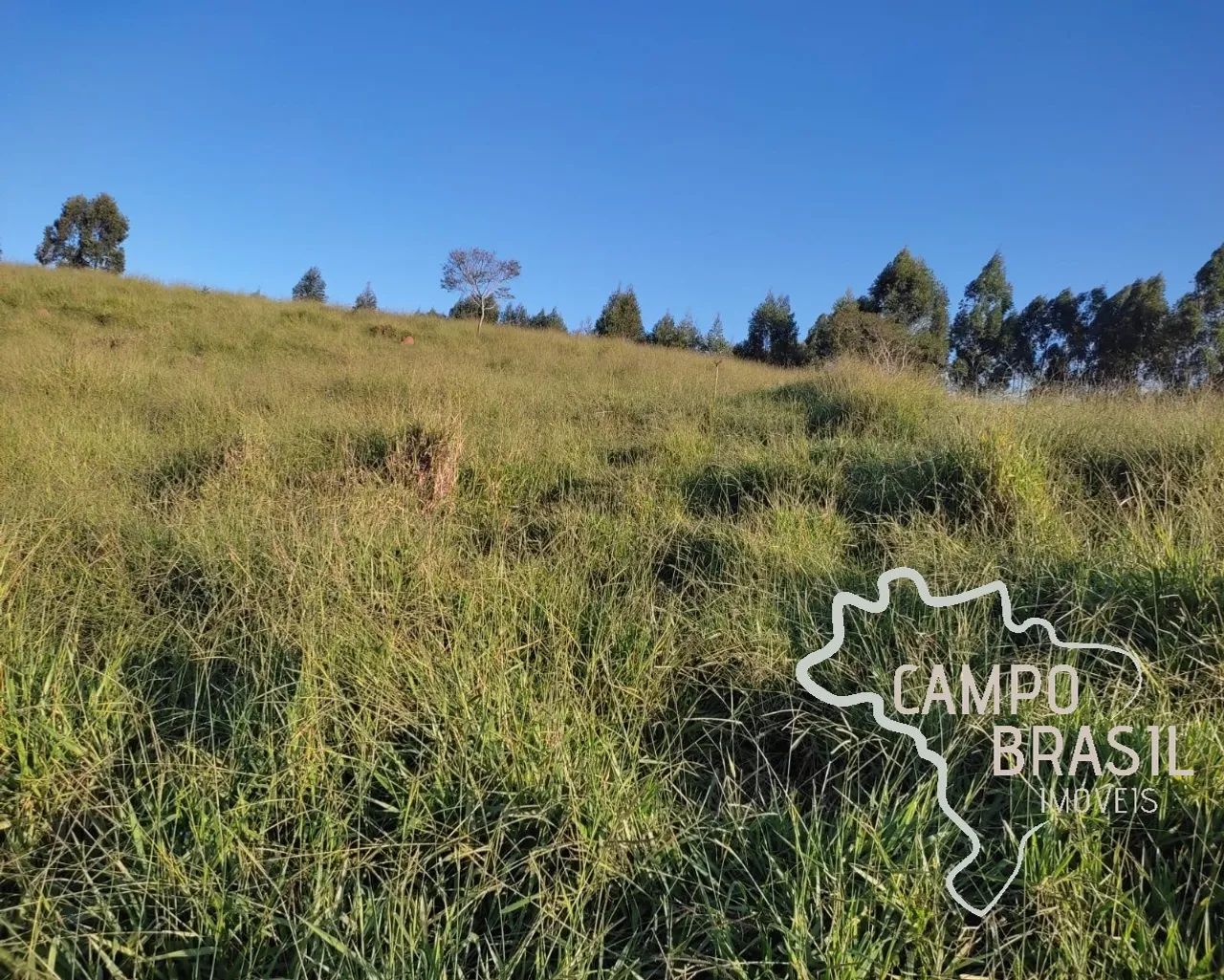 ÁREA RURAL 150.000M² COM LINDA VISTA, EM JAMBEIRO! - Foto 5