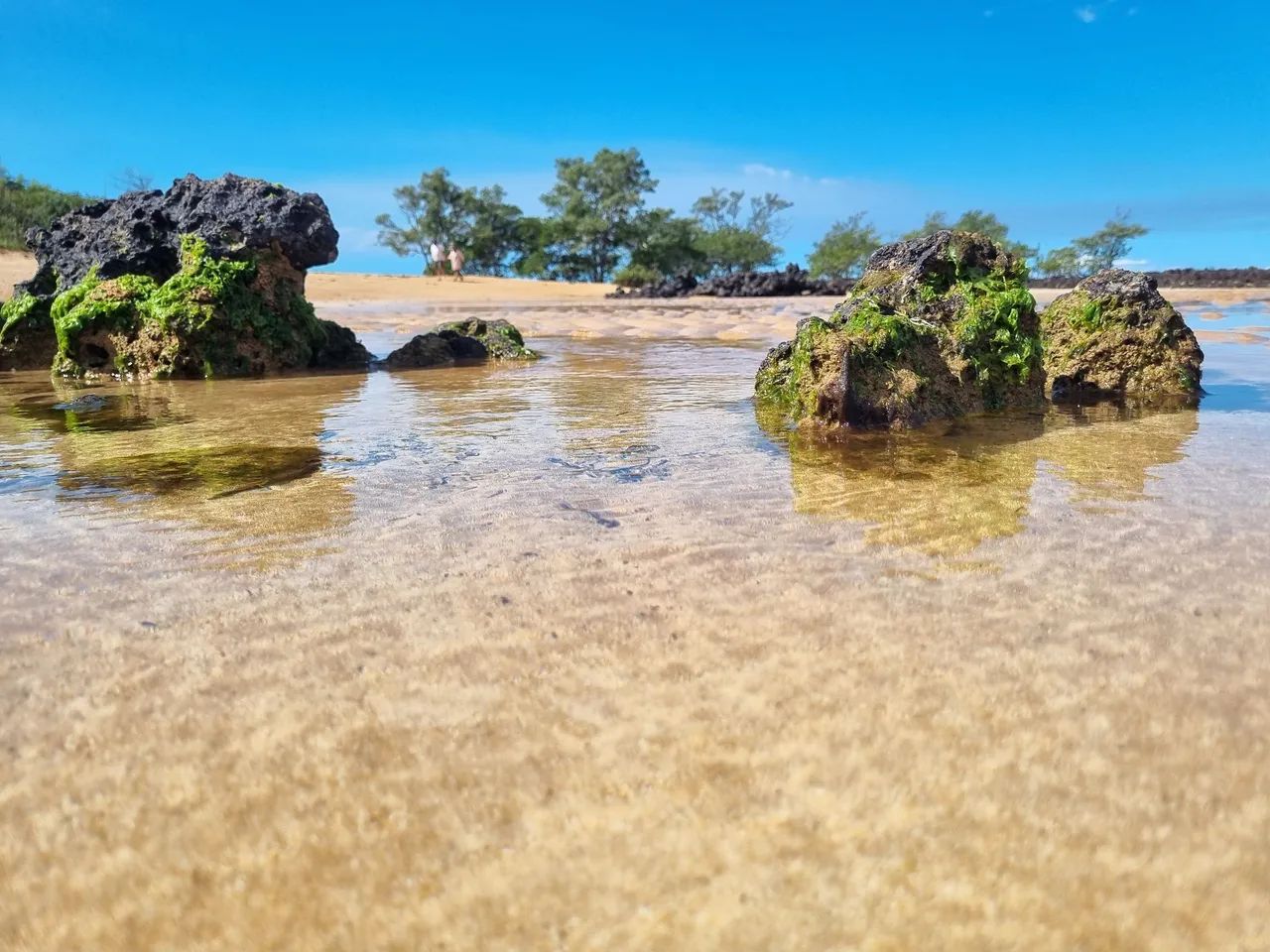 2 Lotes Praia da Biologia / Aracruz - Foto 2
