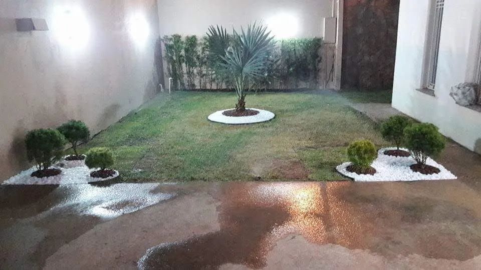 Jardinagem e Paisagismo  - Foto 3